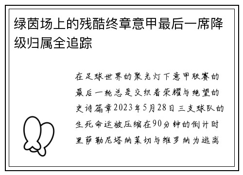 绿茵场上的残酷终章意甲最后一席降级归属全追踪